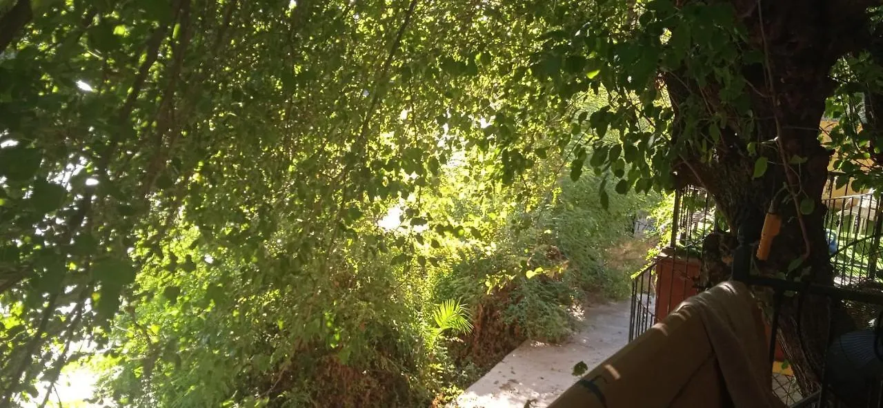 Casa En El Rio Apartment Gelves Homestay